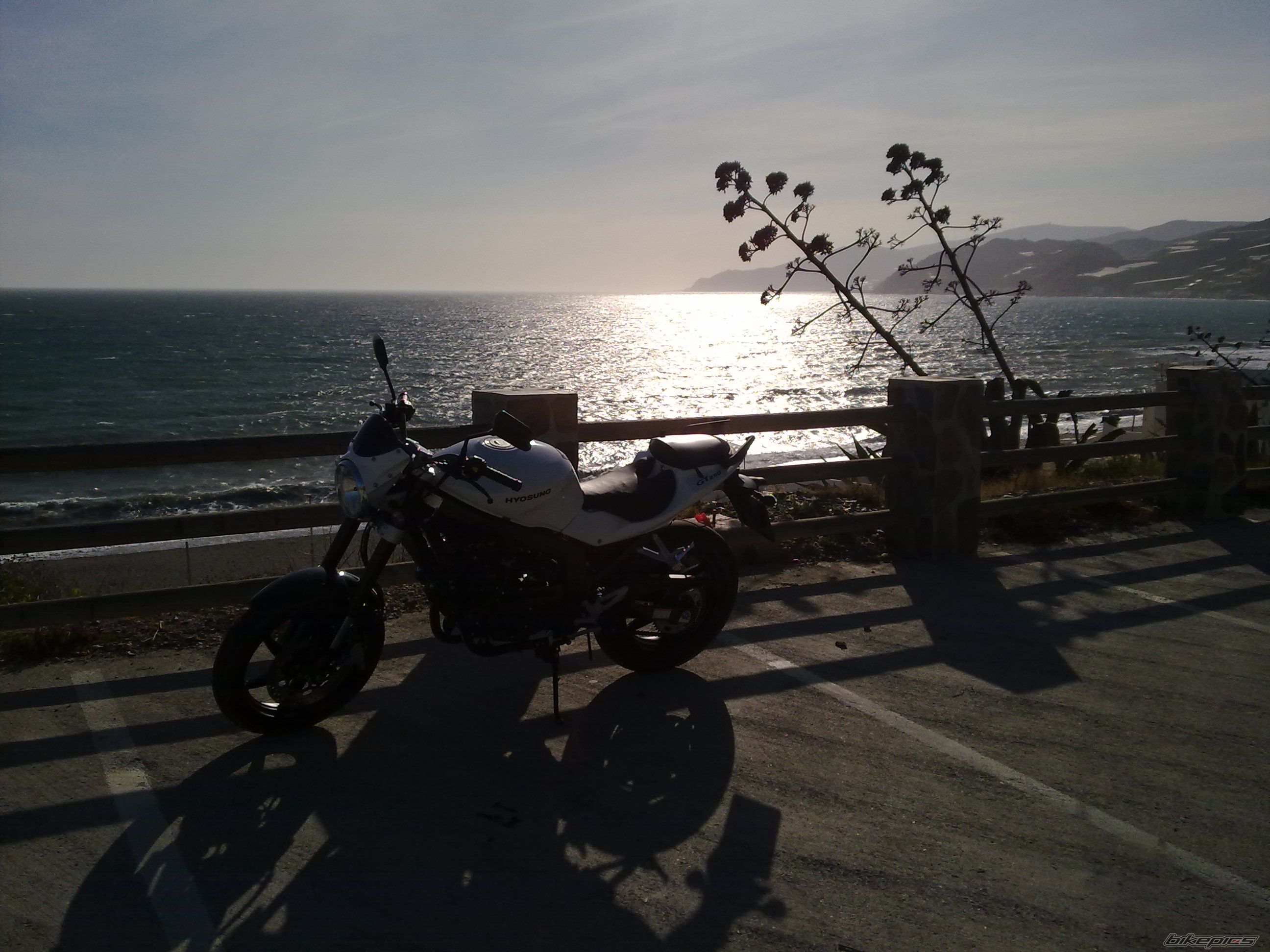 Photo 2248428