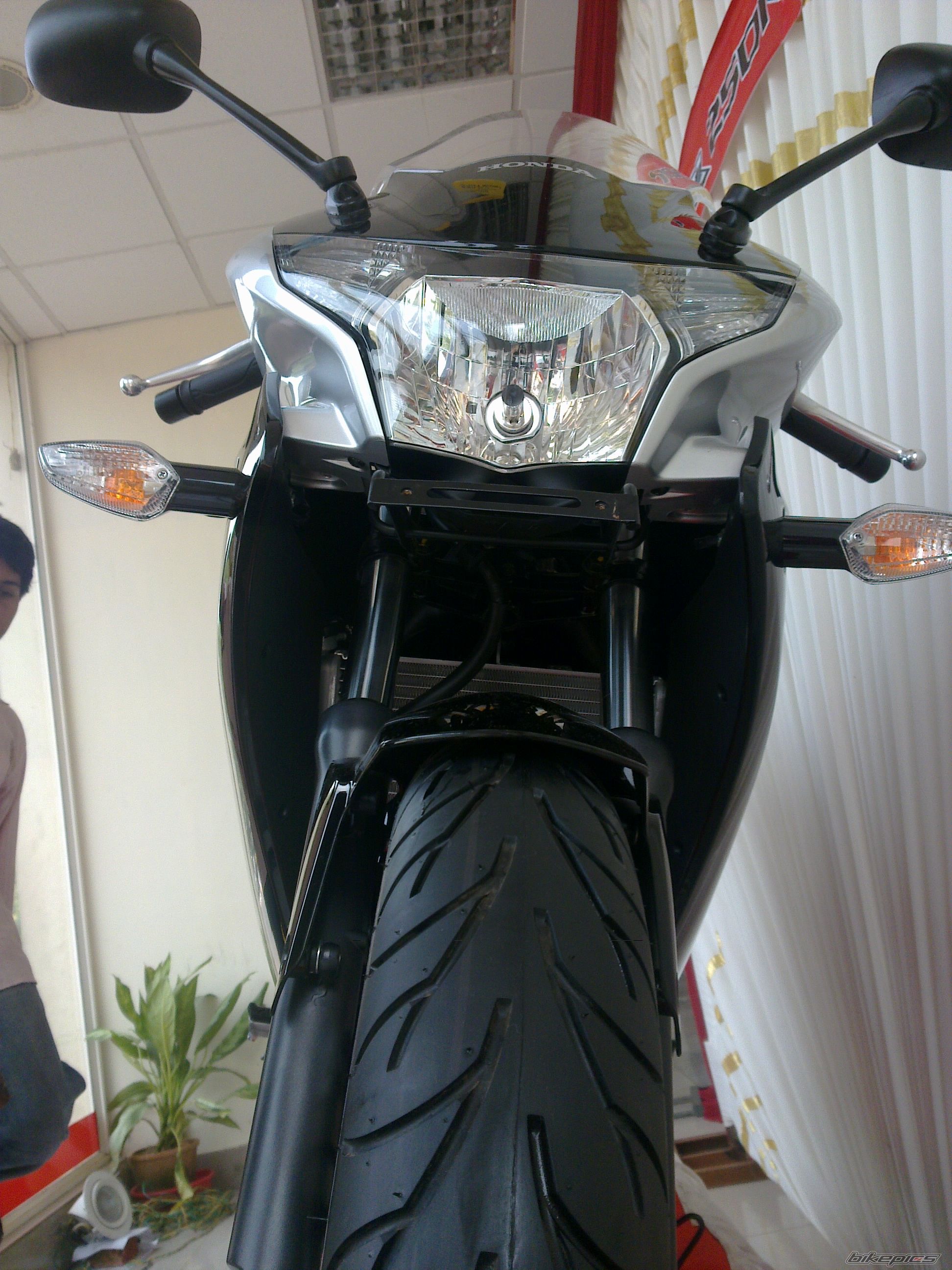 Photo 2248440