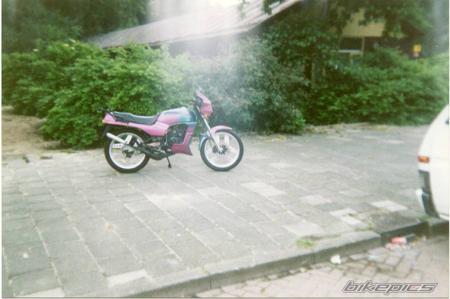 Photo 224848