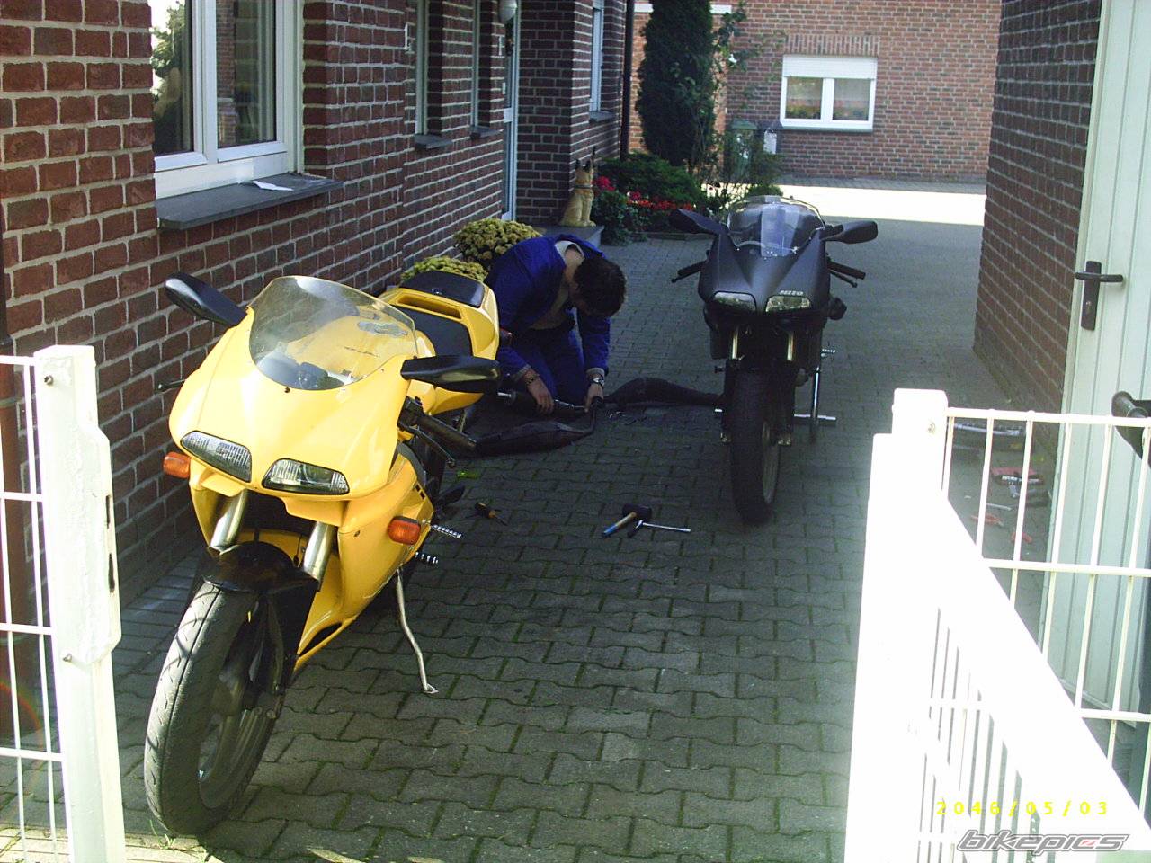 Photo 224863