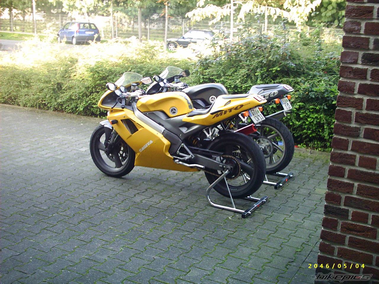 Photo 224864