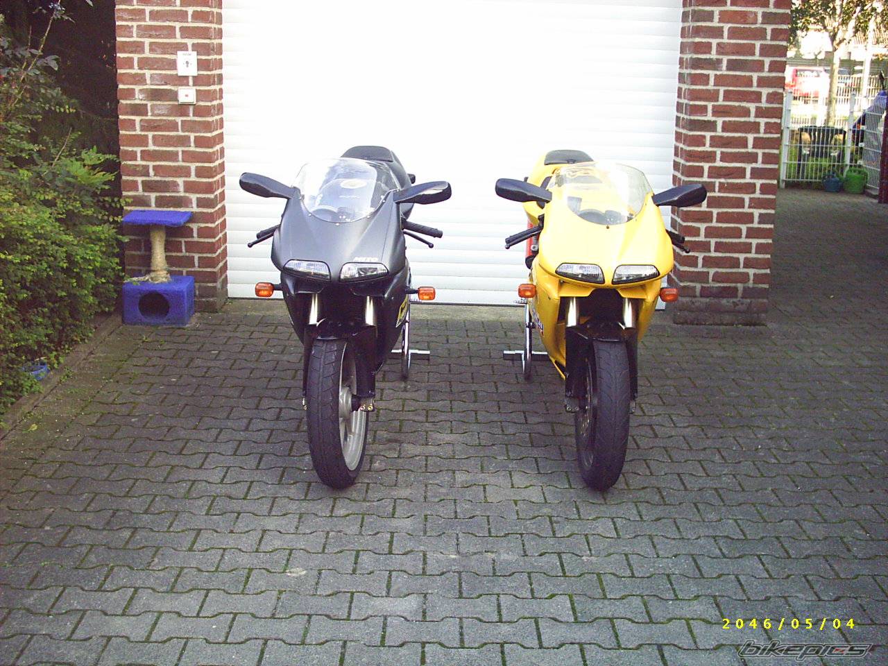 Photo 224865