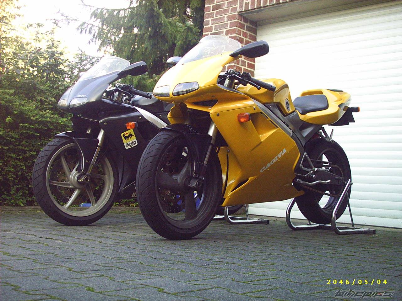 Photo 224867