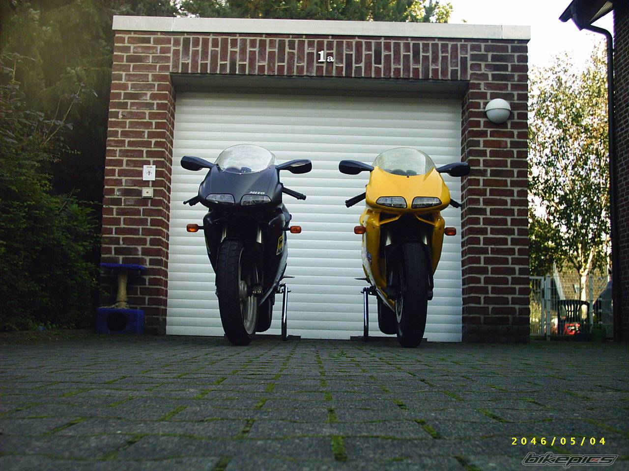 Photo 224868