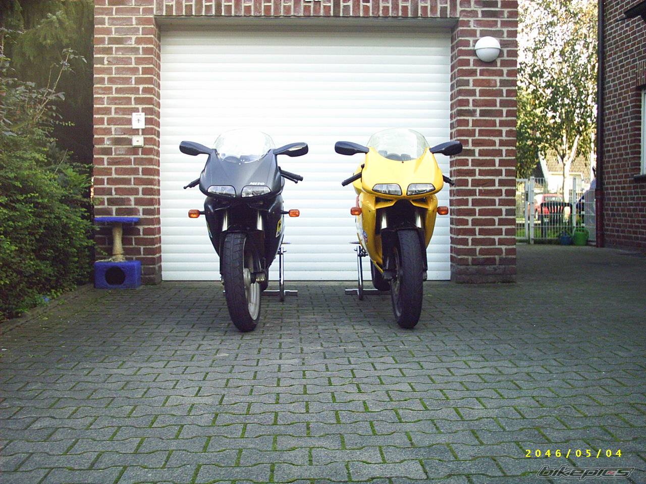 Photo 224869