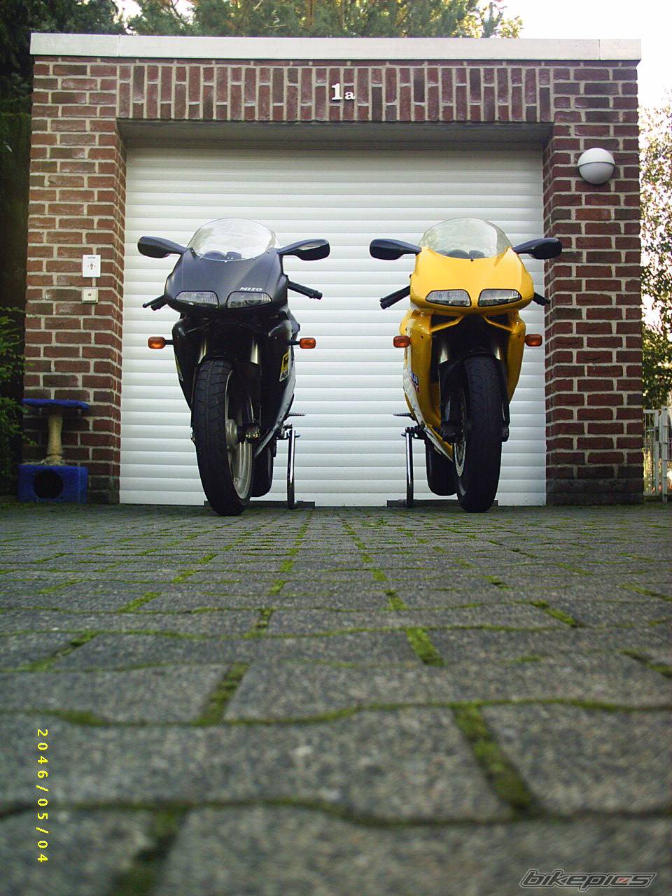 Photo 224870