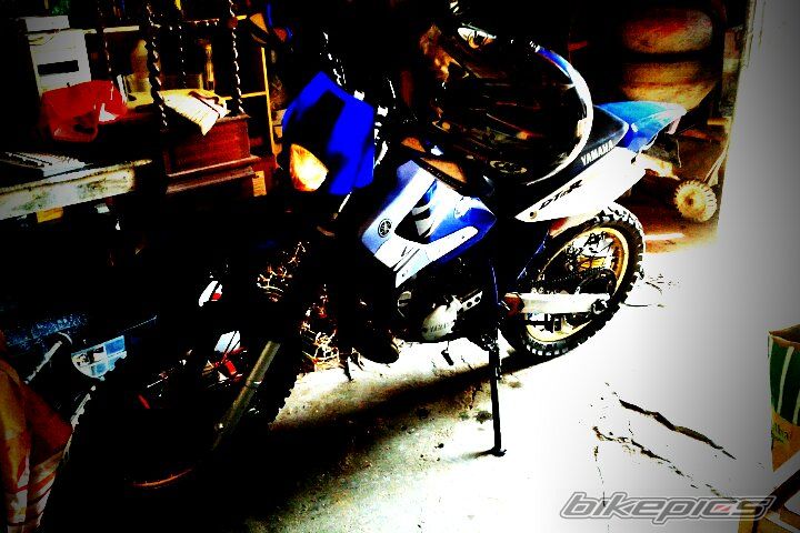 Photo 2248788