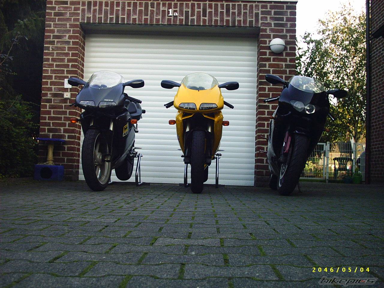 Photo 224880