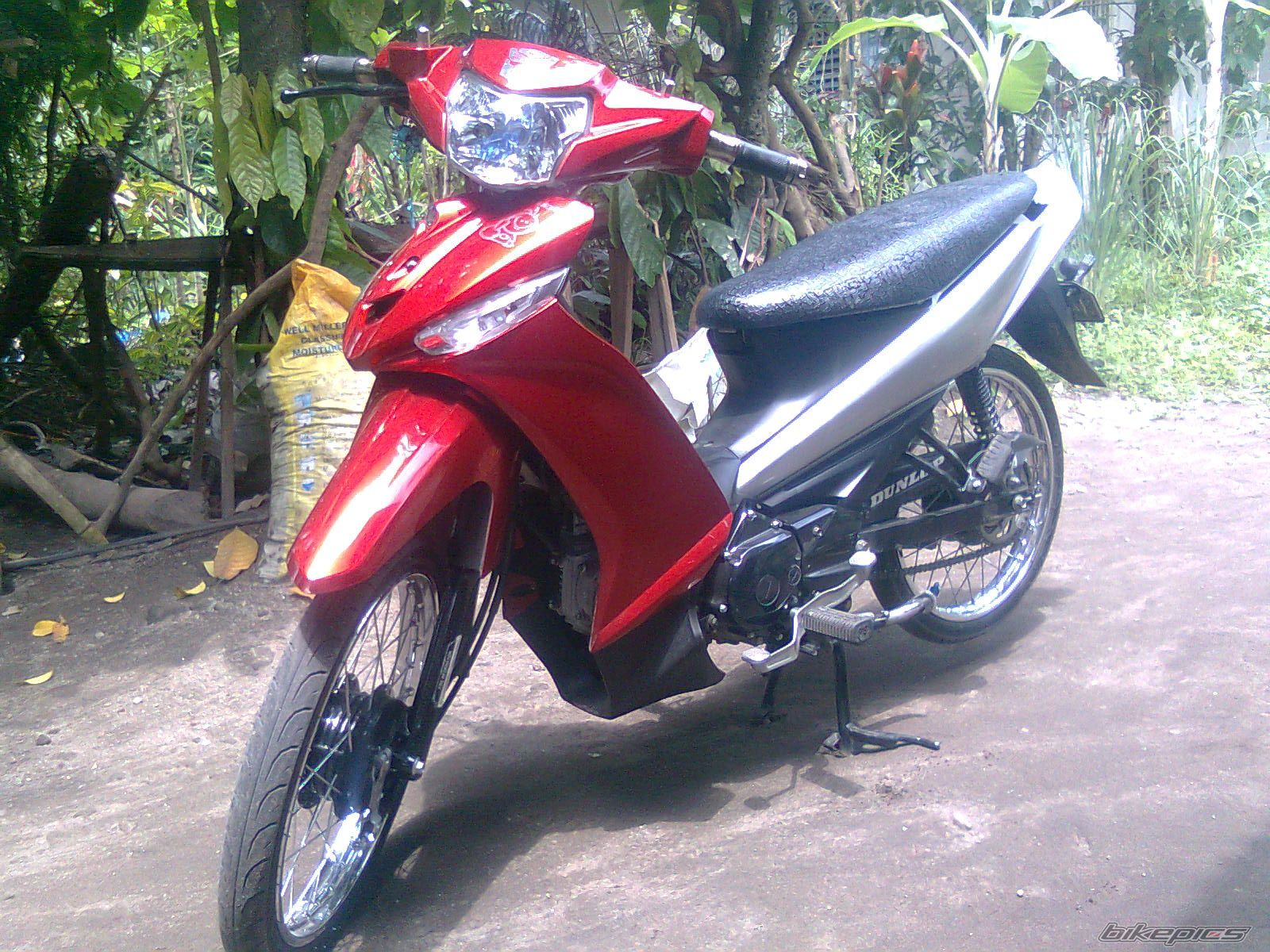 Photo 2248811