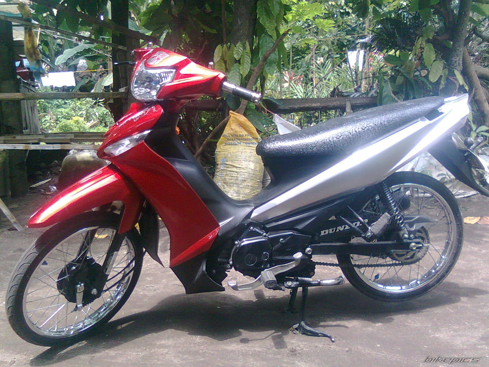 Photo 2248812