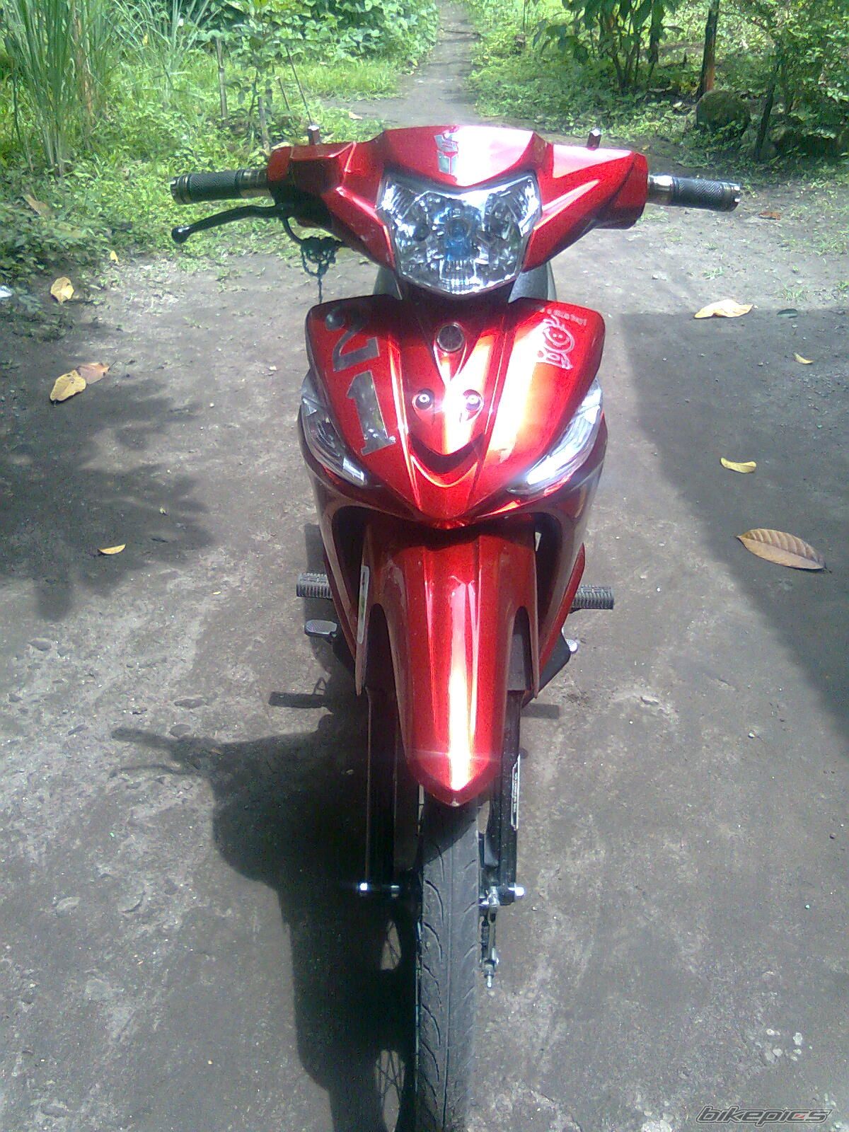 Photo 2248813