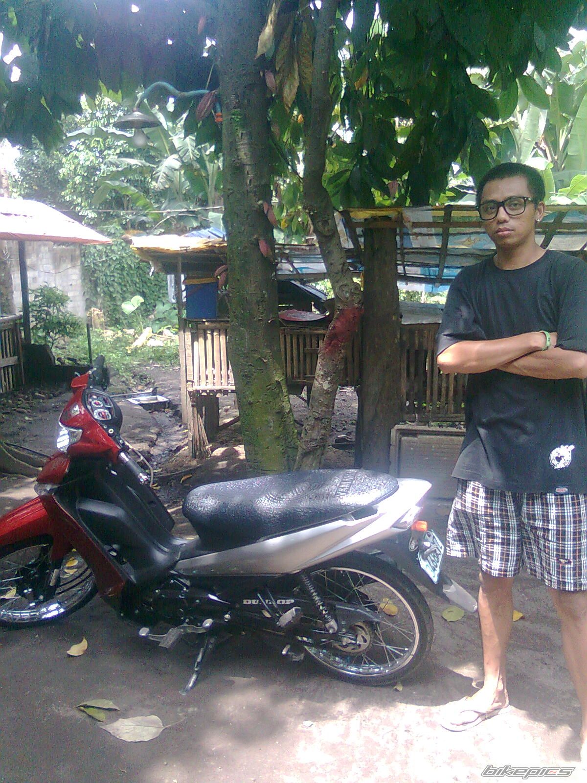 Photo 2248814