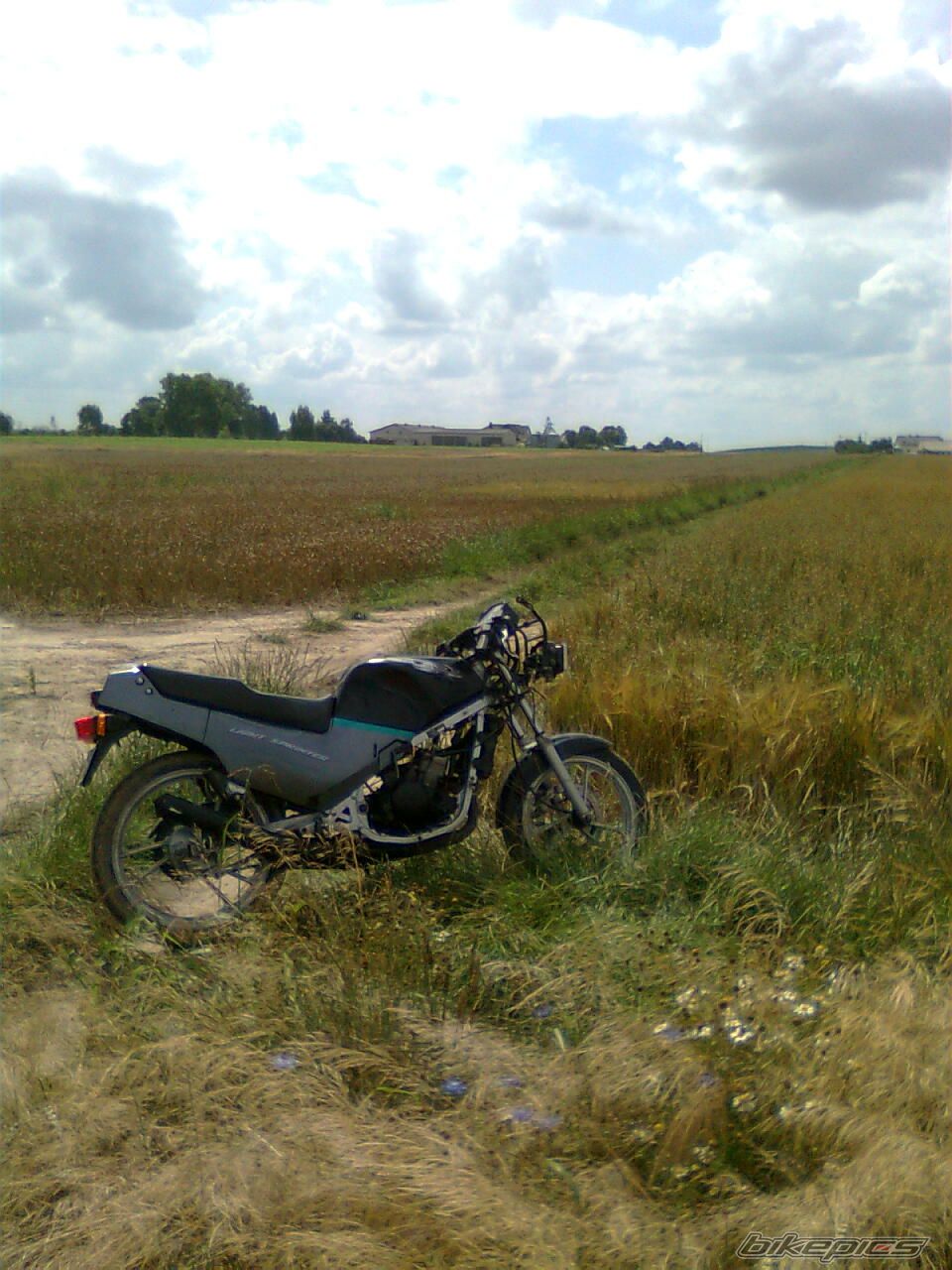 Photo 2248851