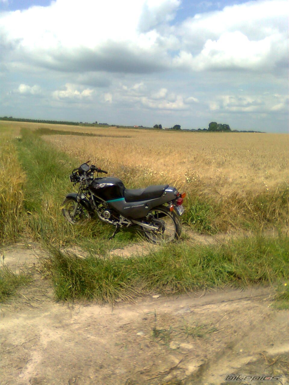 Photo 2248852