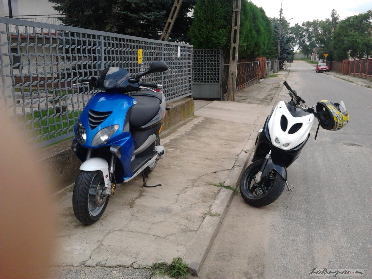 Photo 2248859