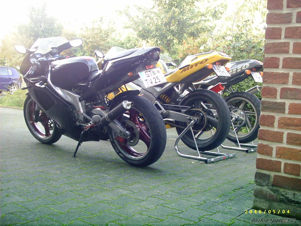 Photo 224887
