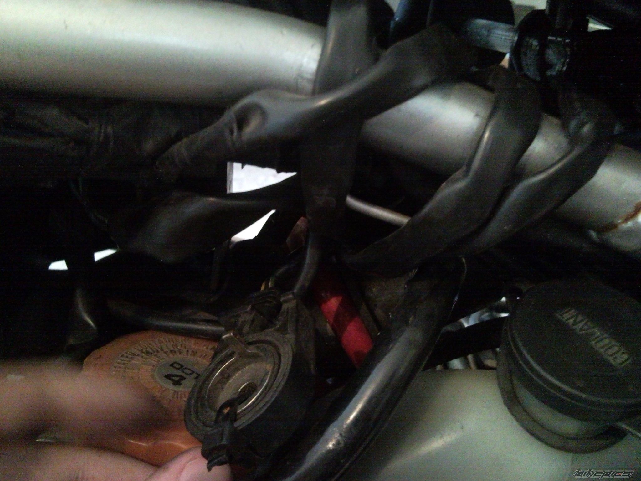 Photo 2248885
