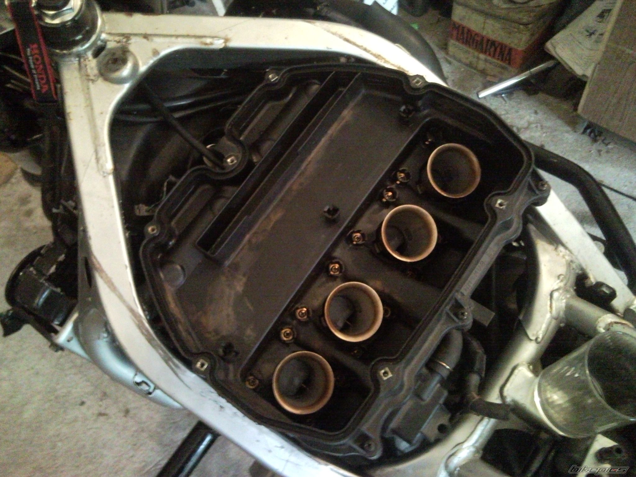 Photo 2248888