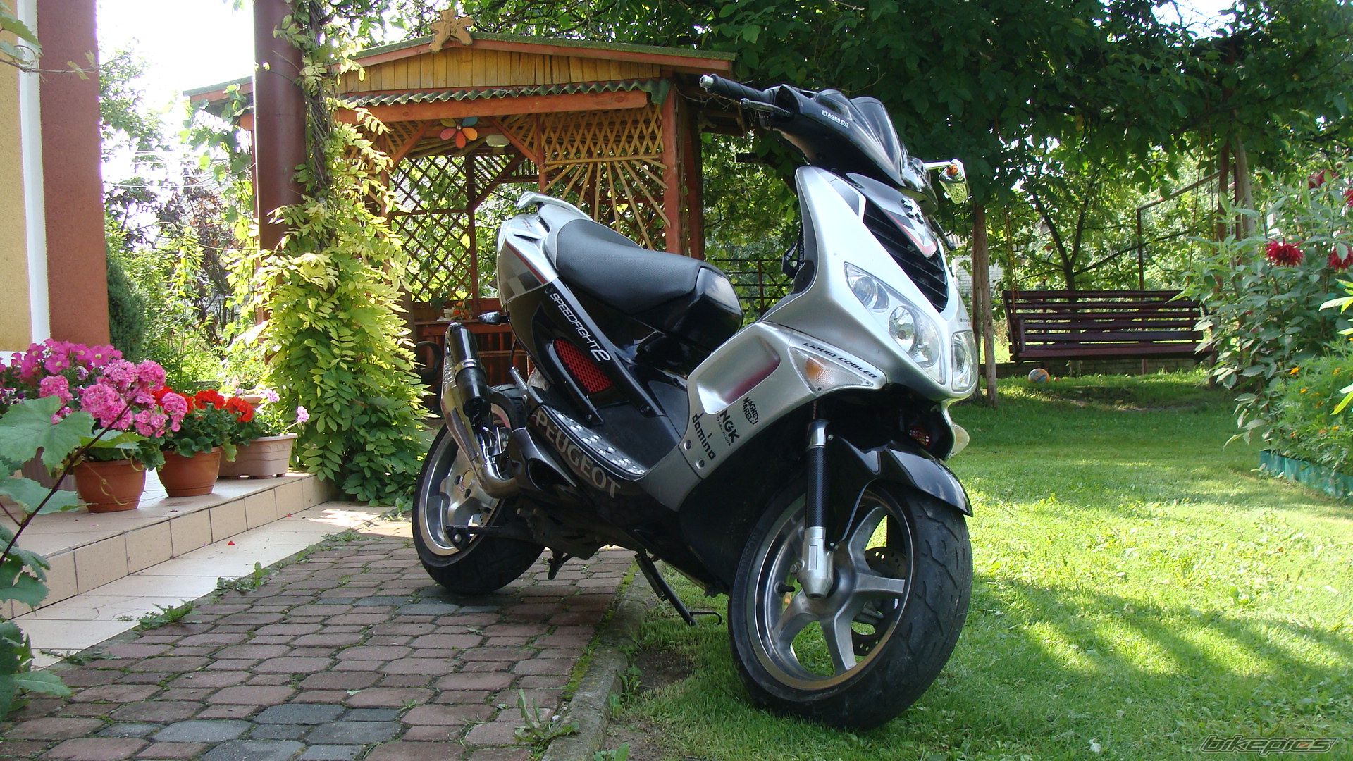 Photo 2248891