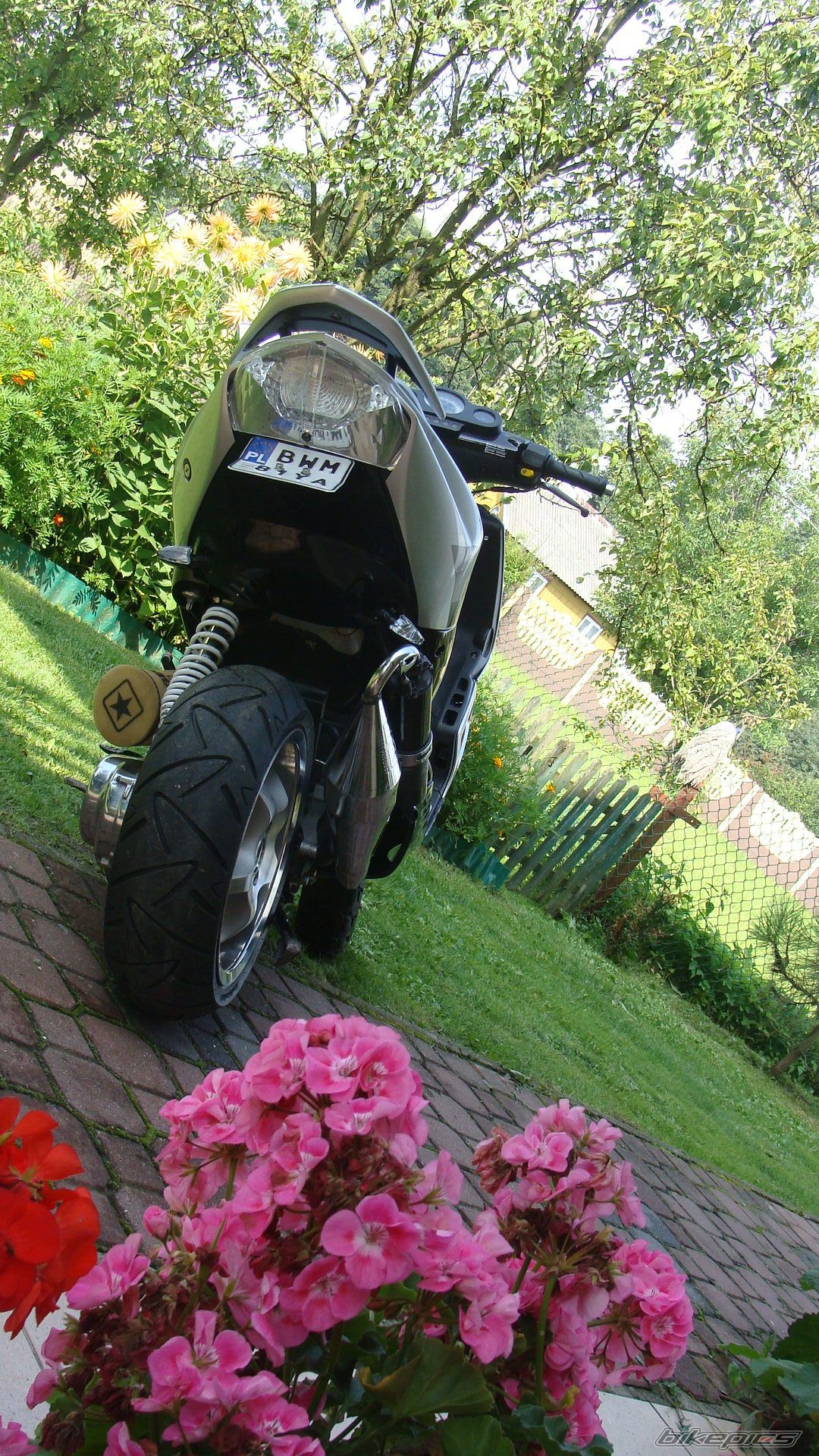 Photo 2248895