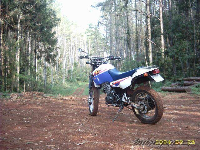 Bike Photo 224892