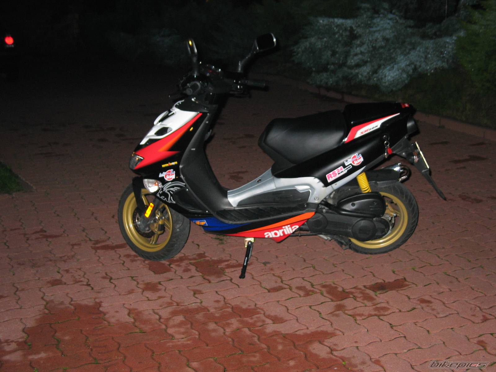 Photo 224906