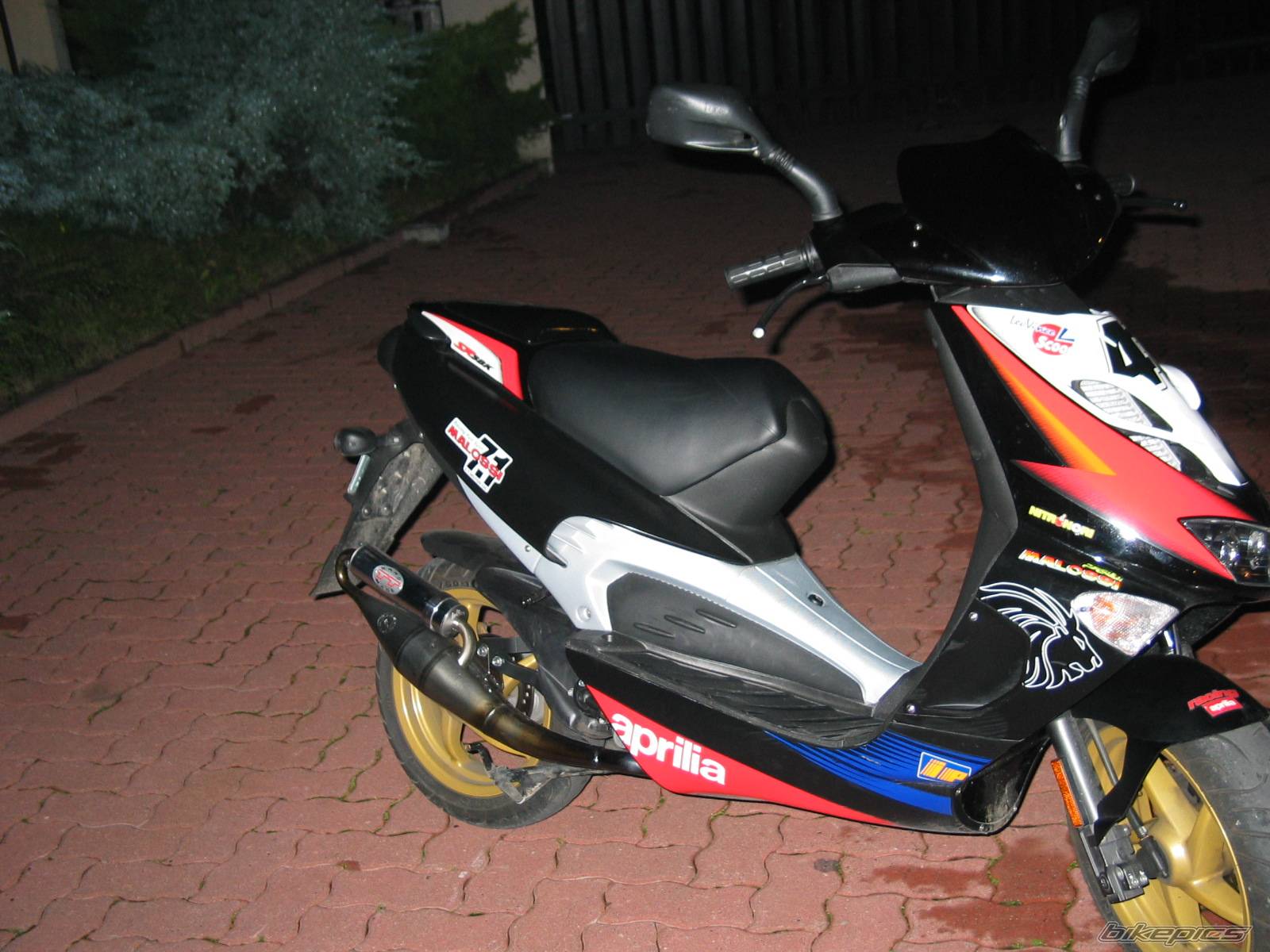 Photo 224910