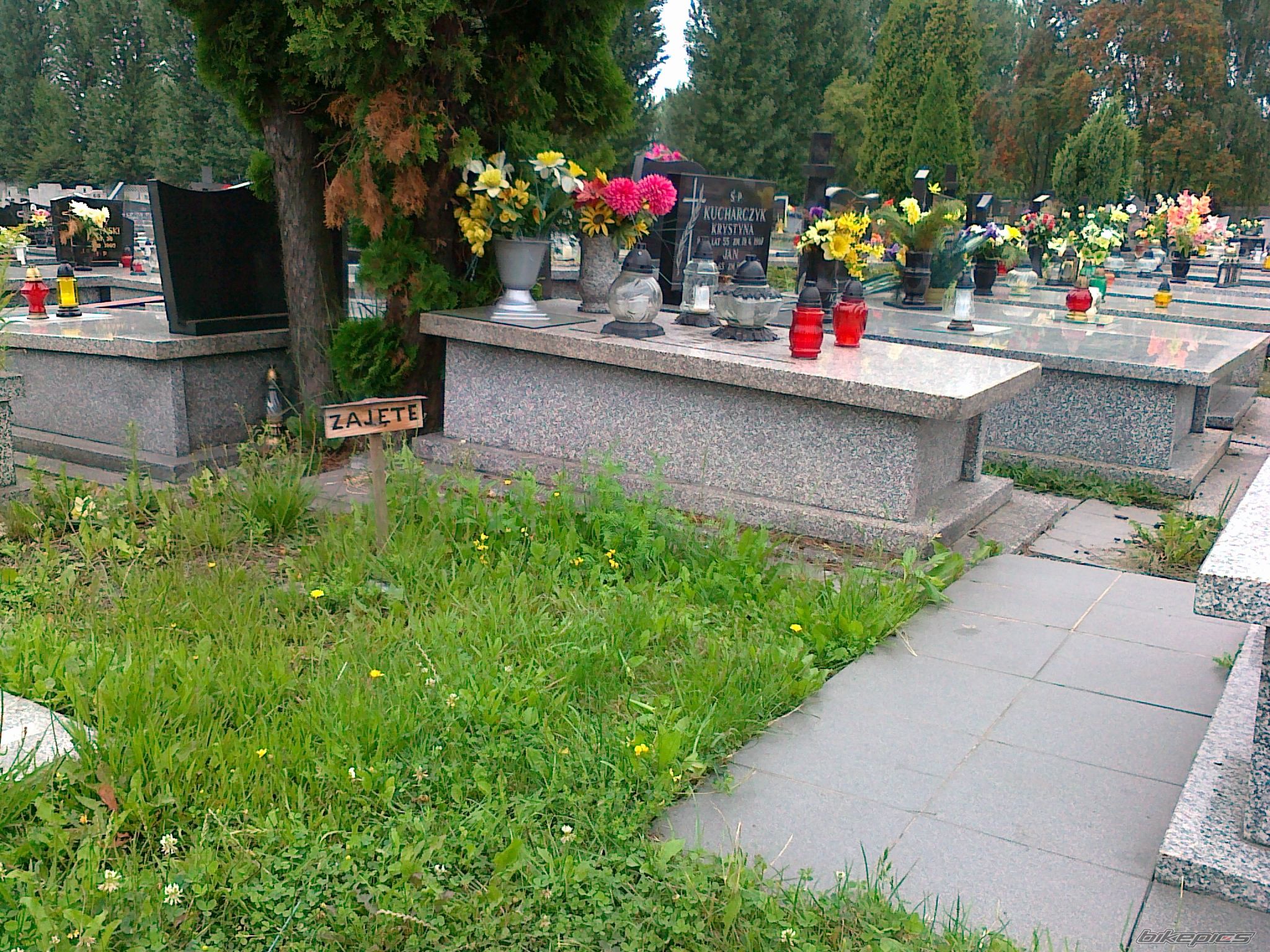 Photo 2249179