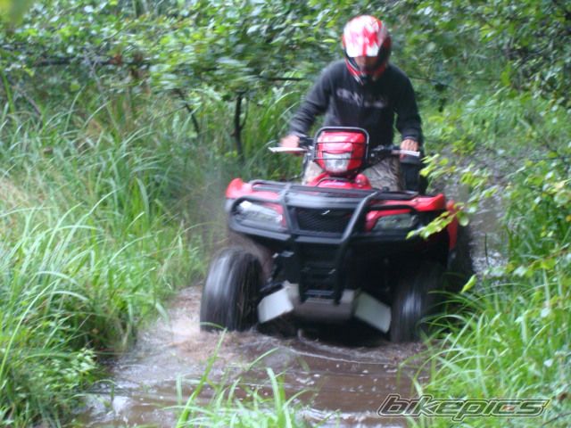 Photo 2249260
