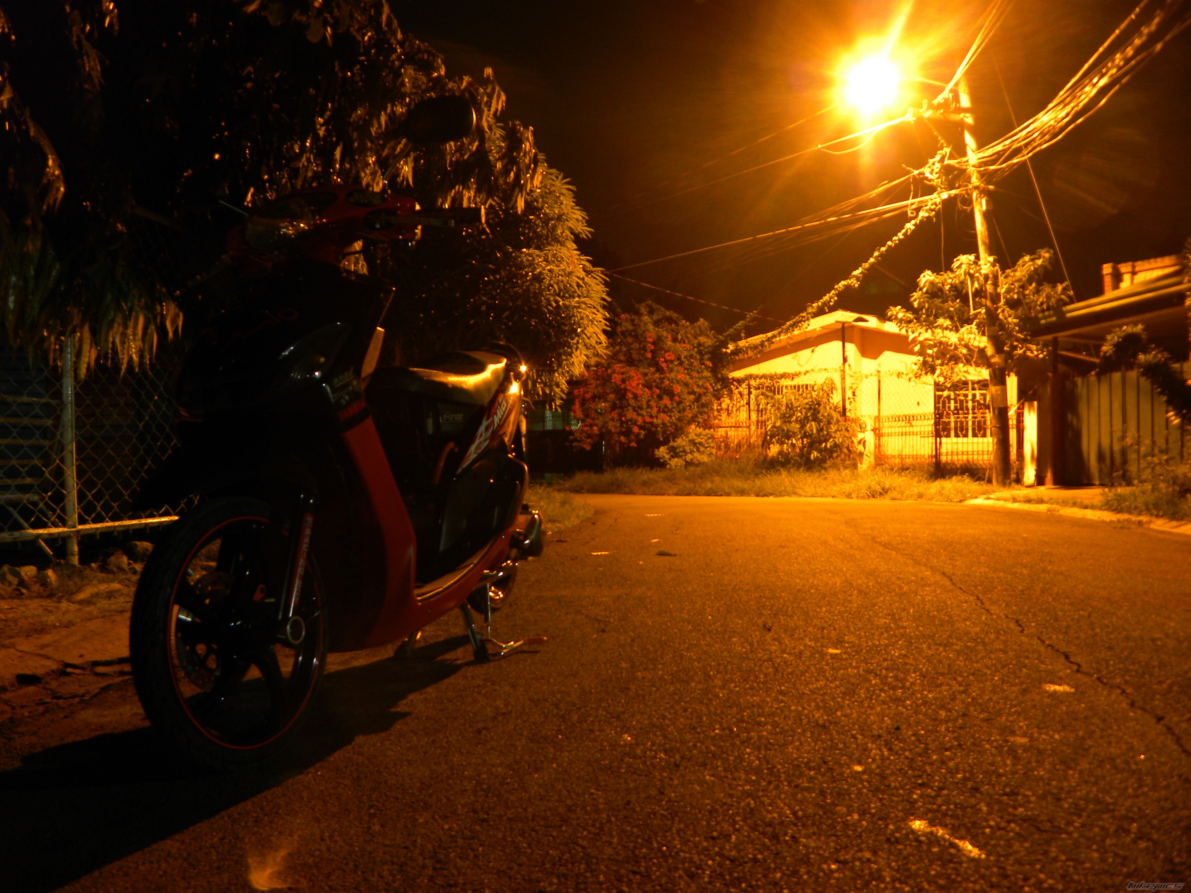 Photo 2249351