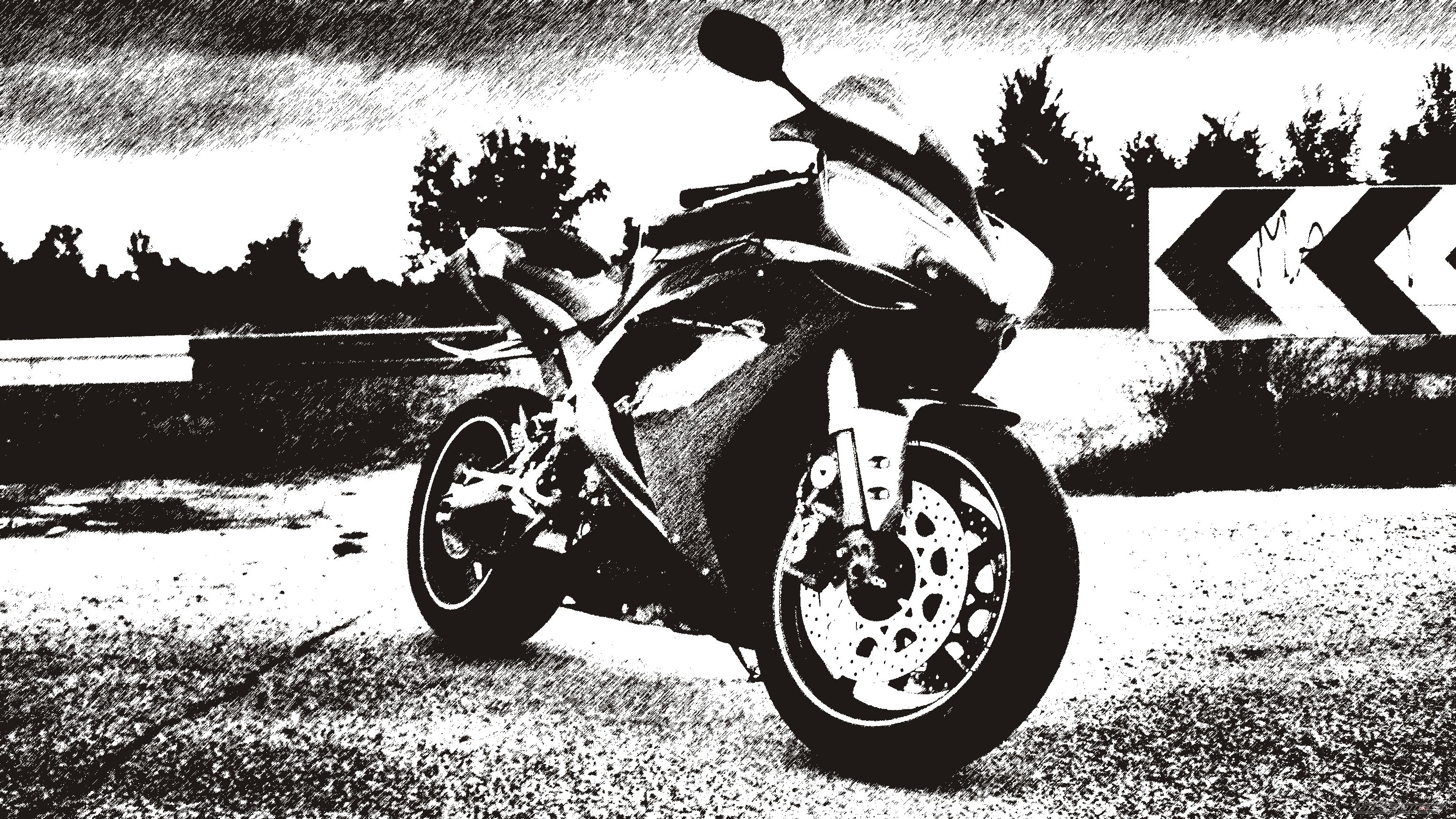 Photo 2249370