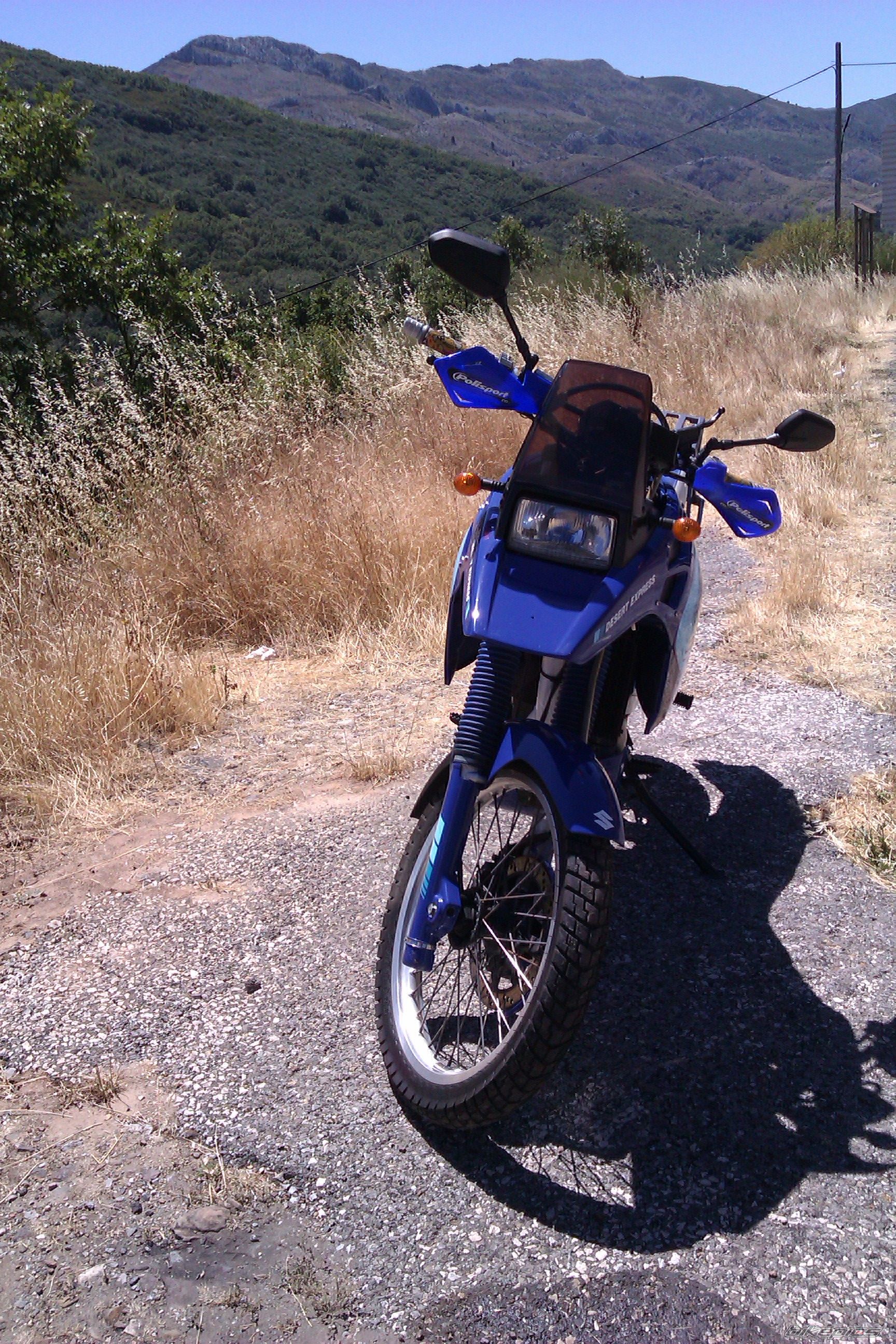 Photo 2249399