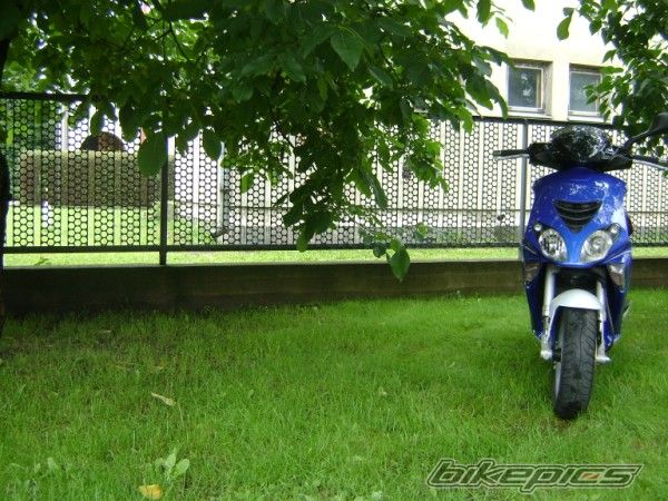 Photo 2249456