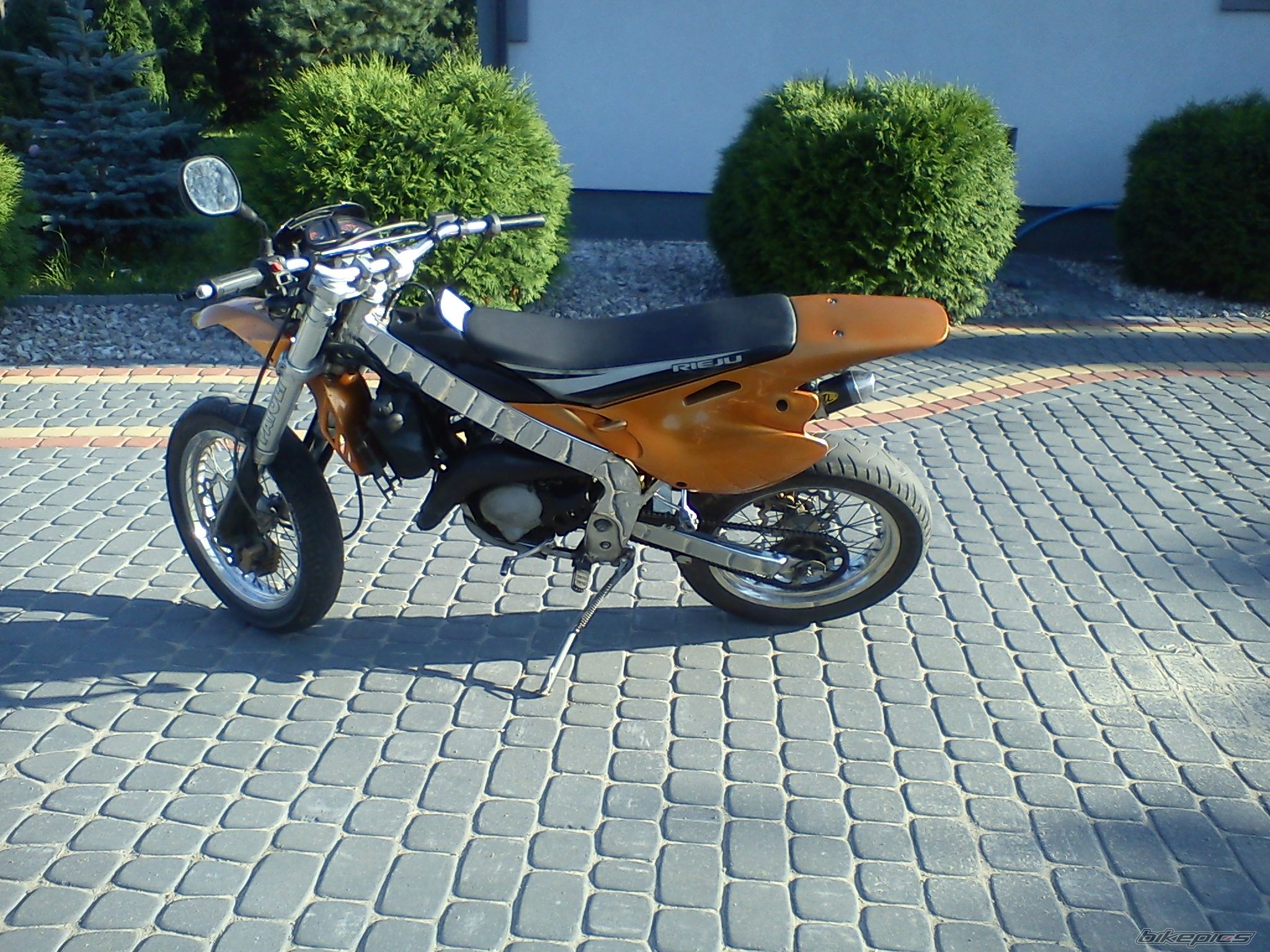 Photo 2249557