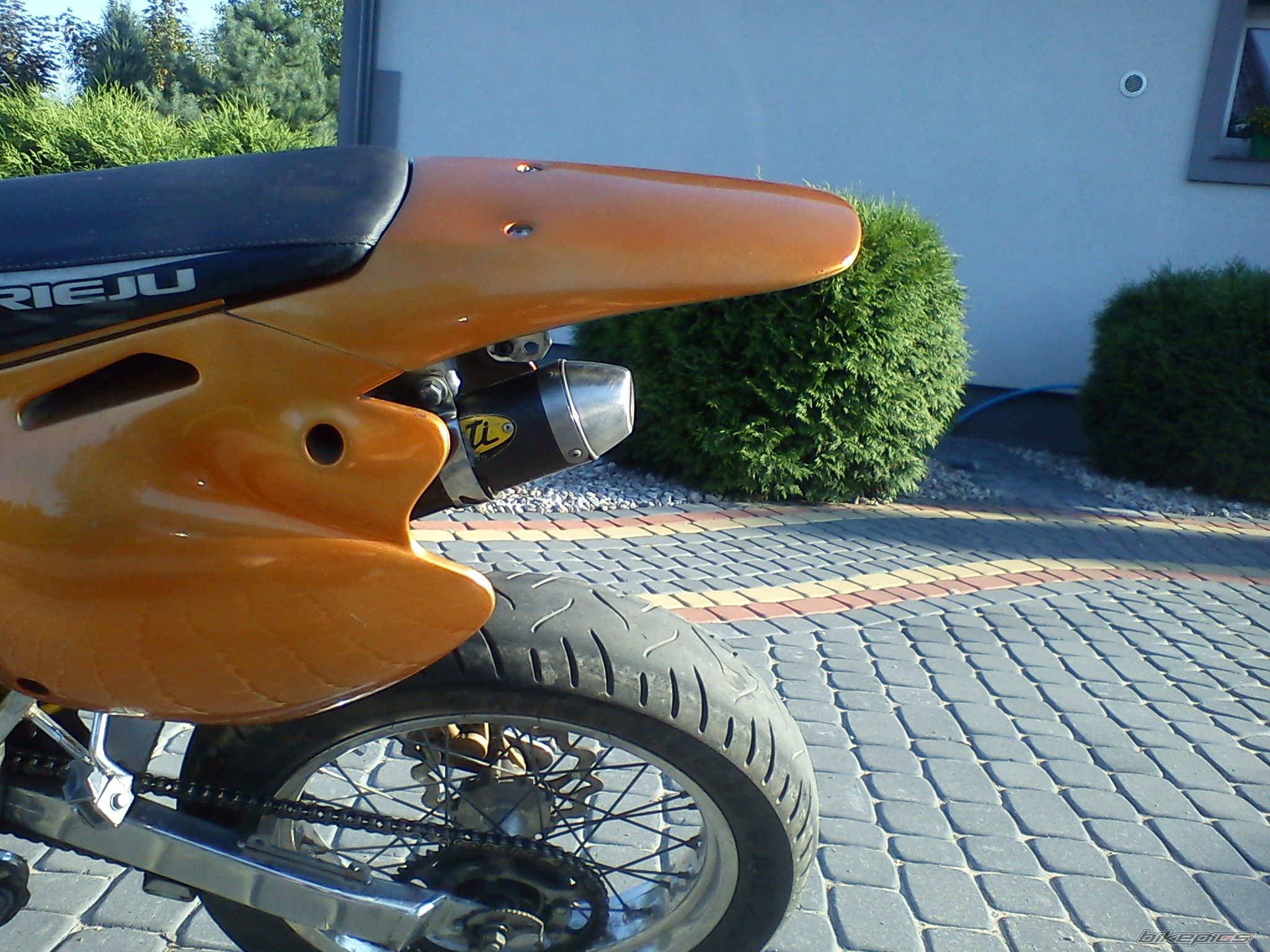 Photo 2249559