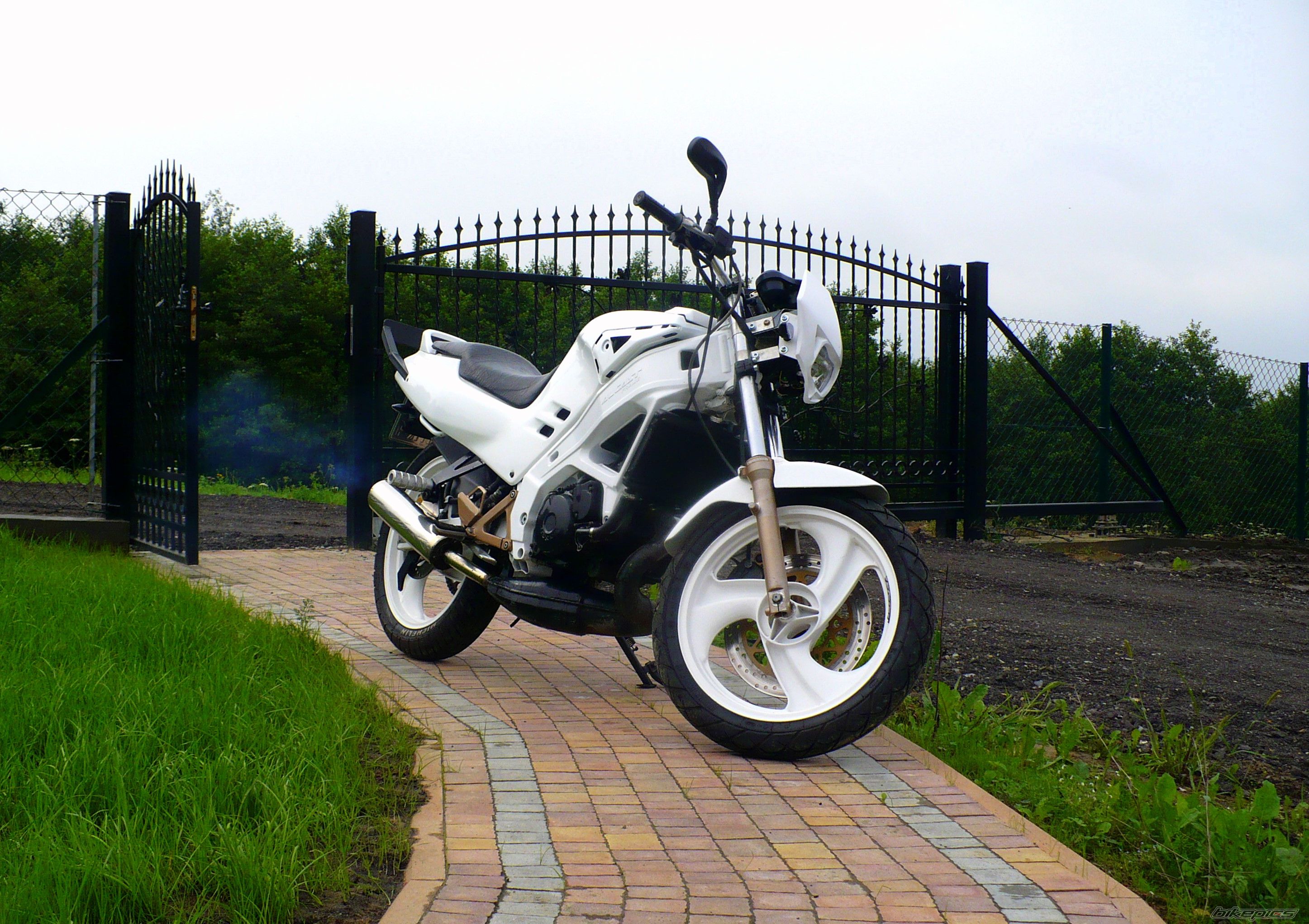 Photo 2249662