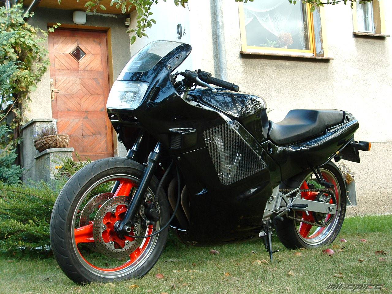 Photo 224973