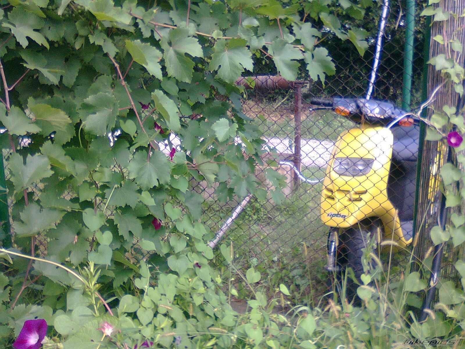 Photo 2249884