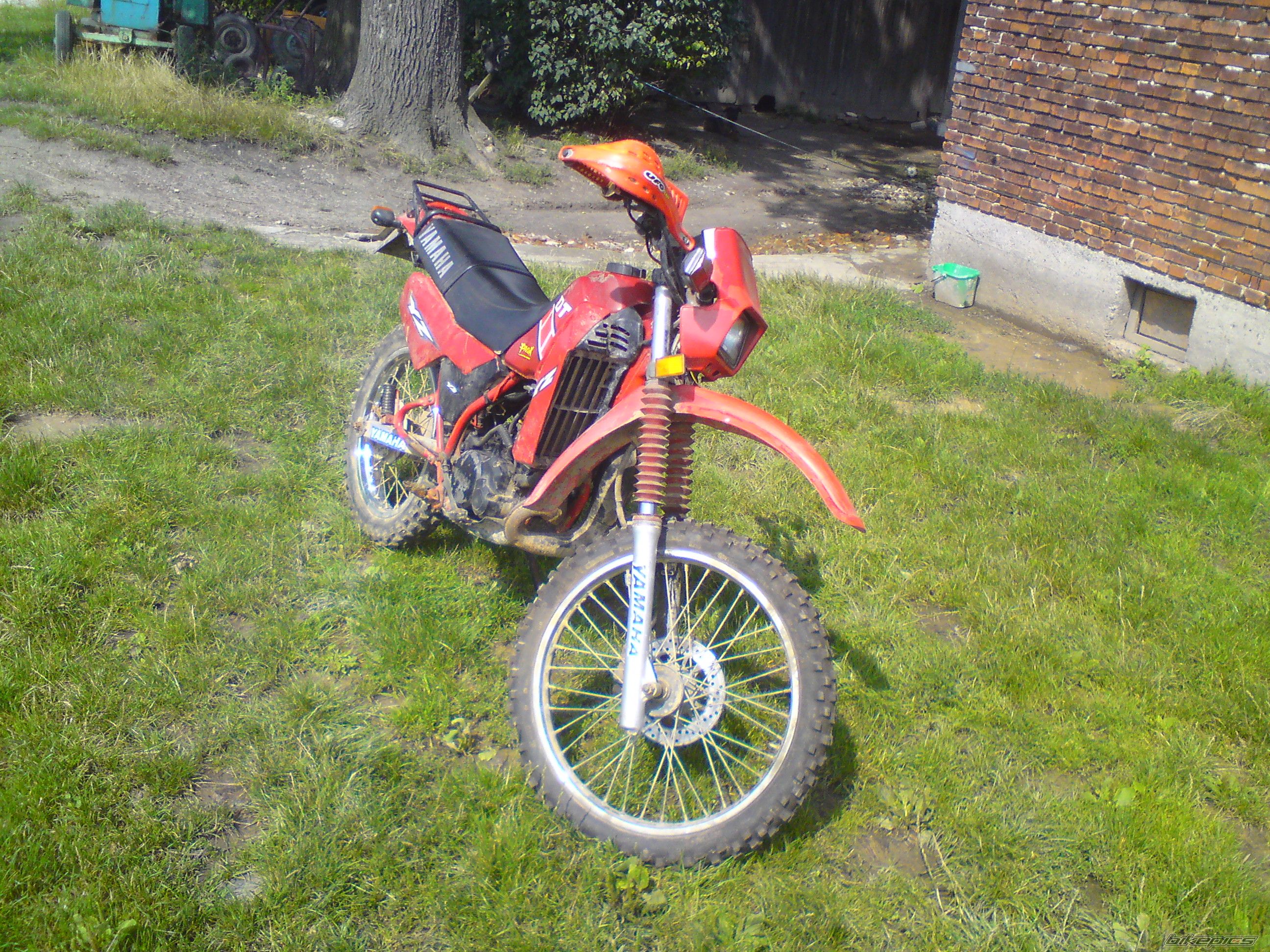 Photo 2249971