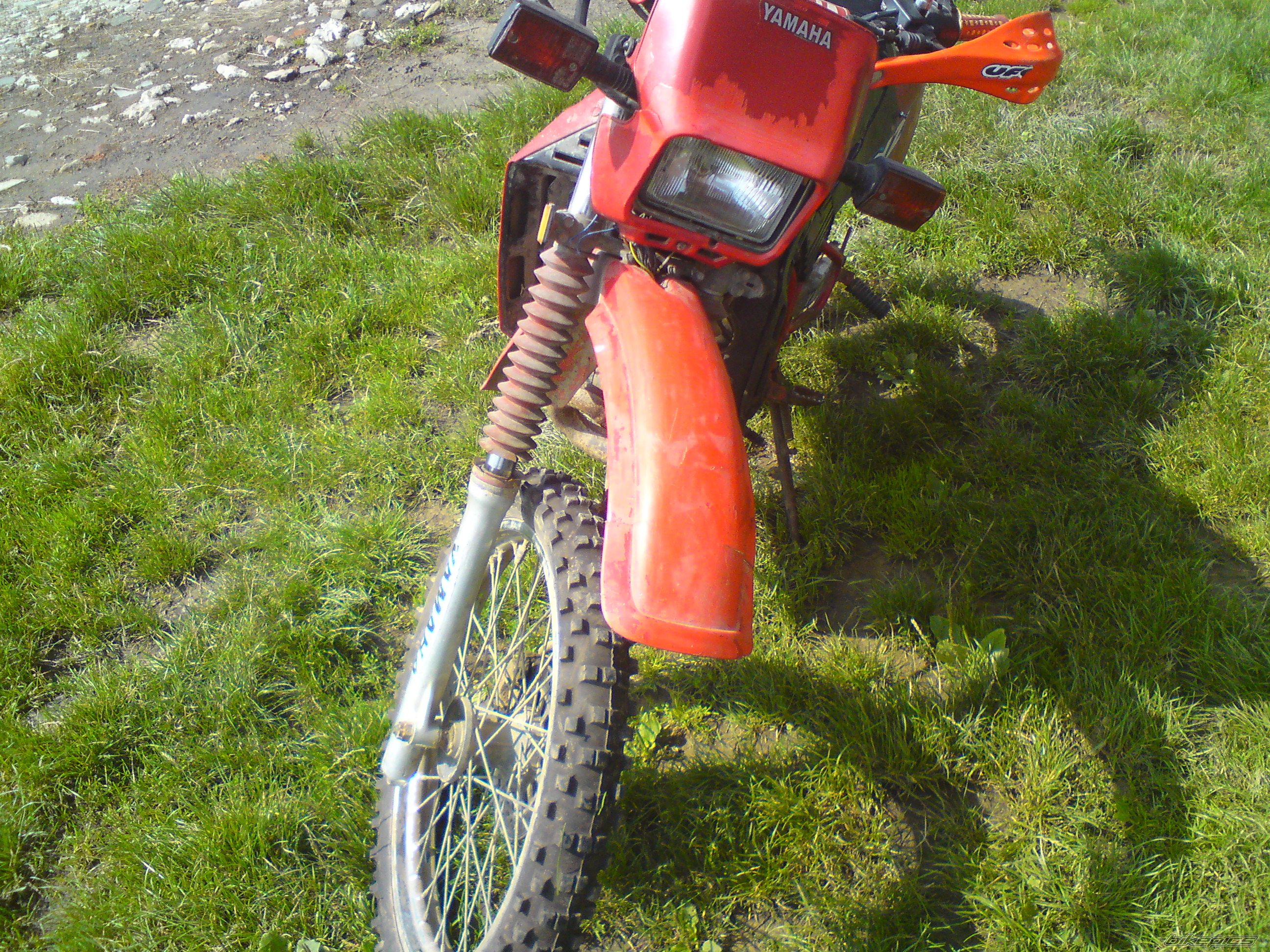 Photo 2249972