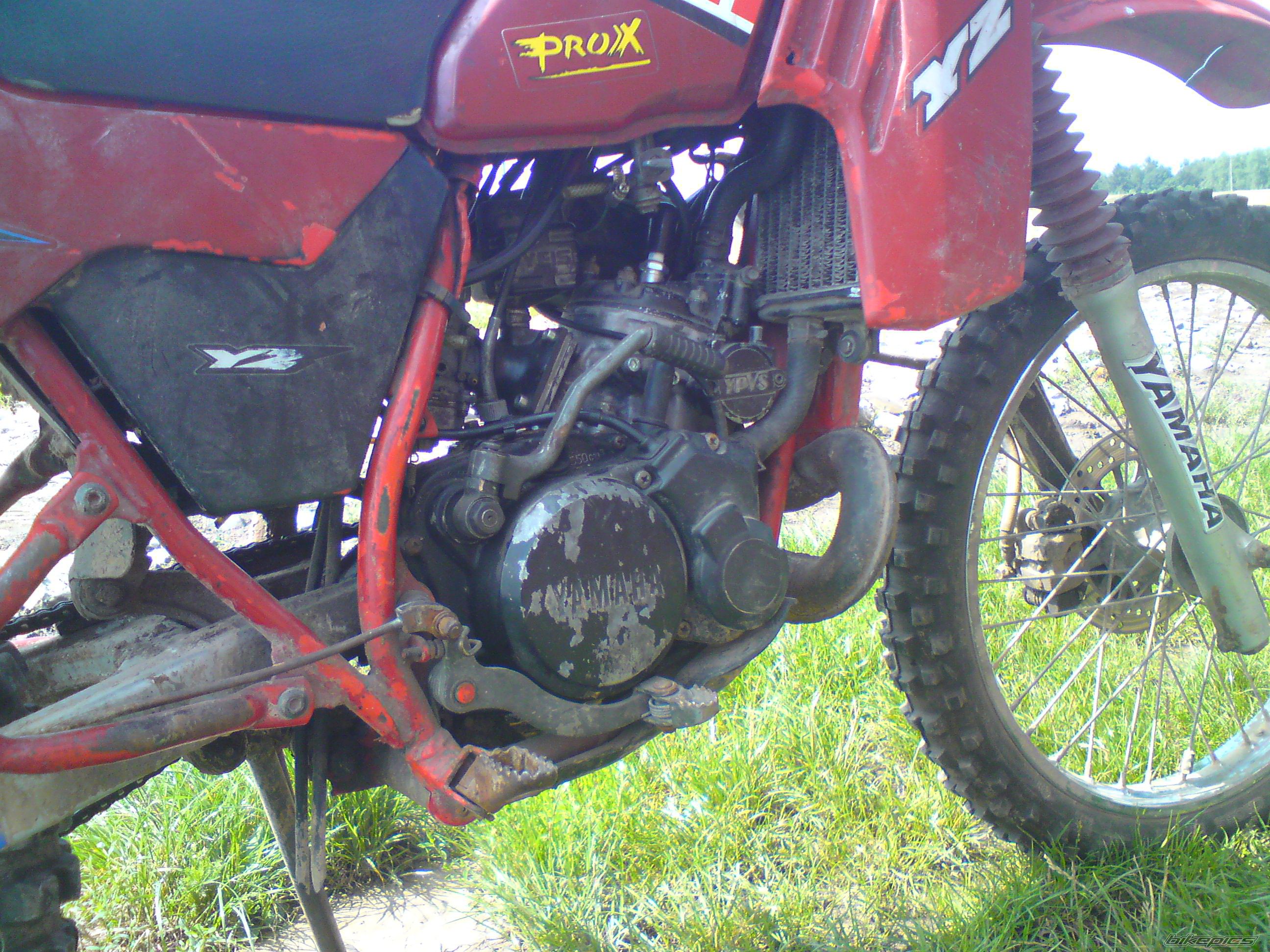 Photo 2249977