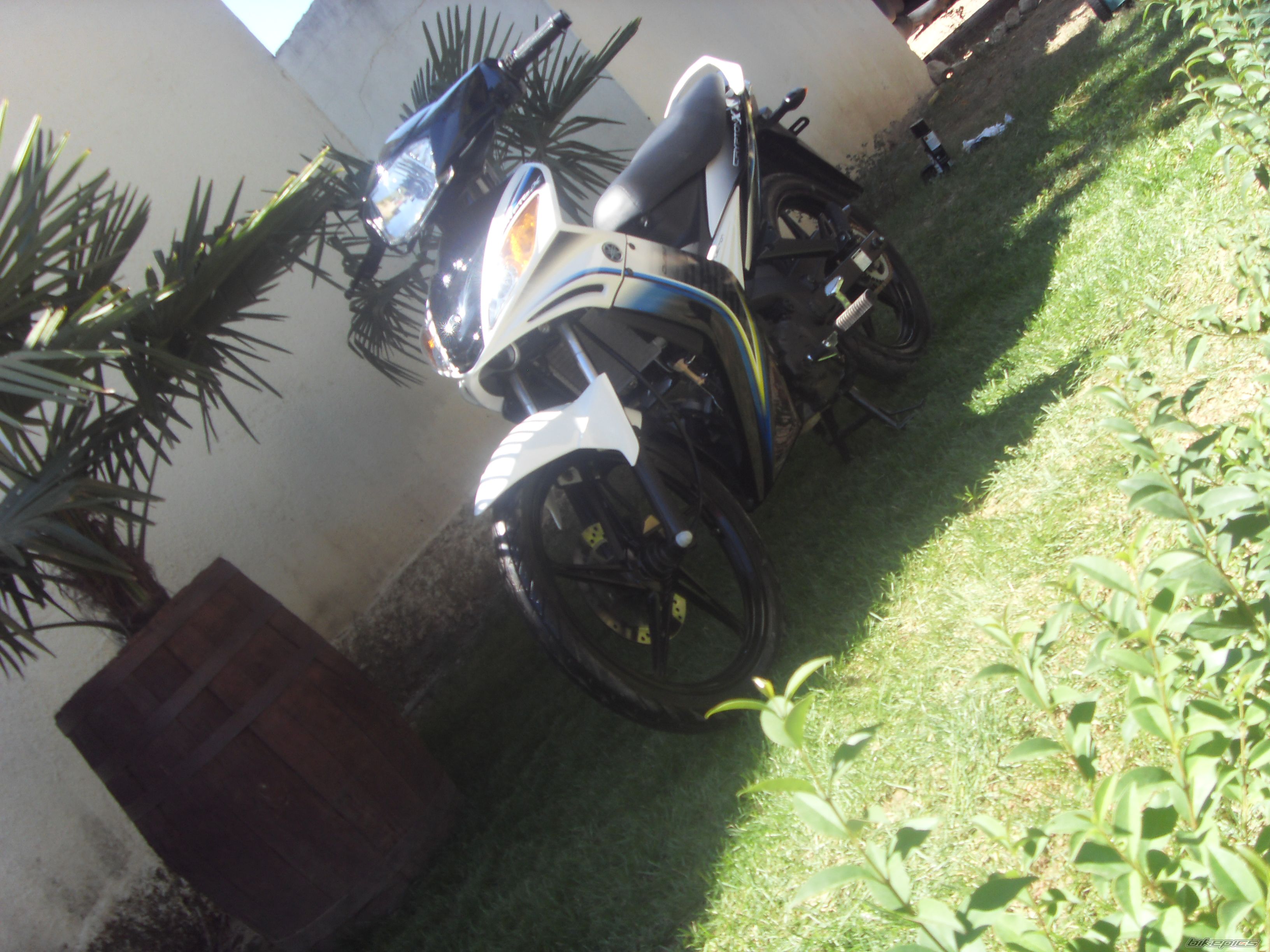 Photo 2250088