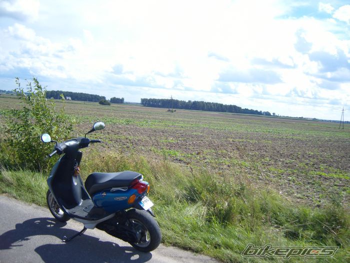 Photo 2250287