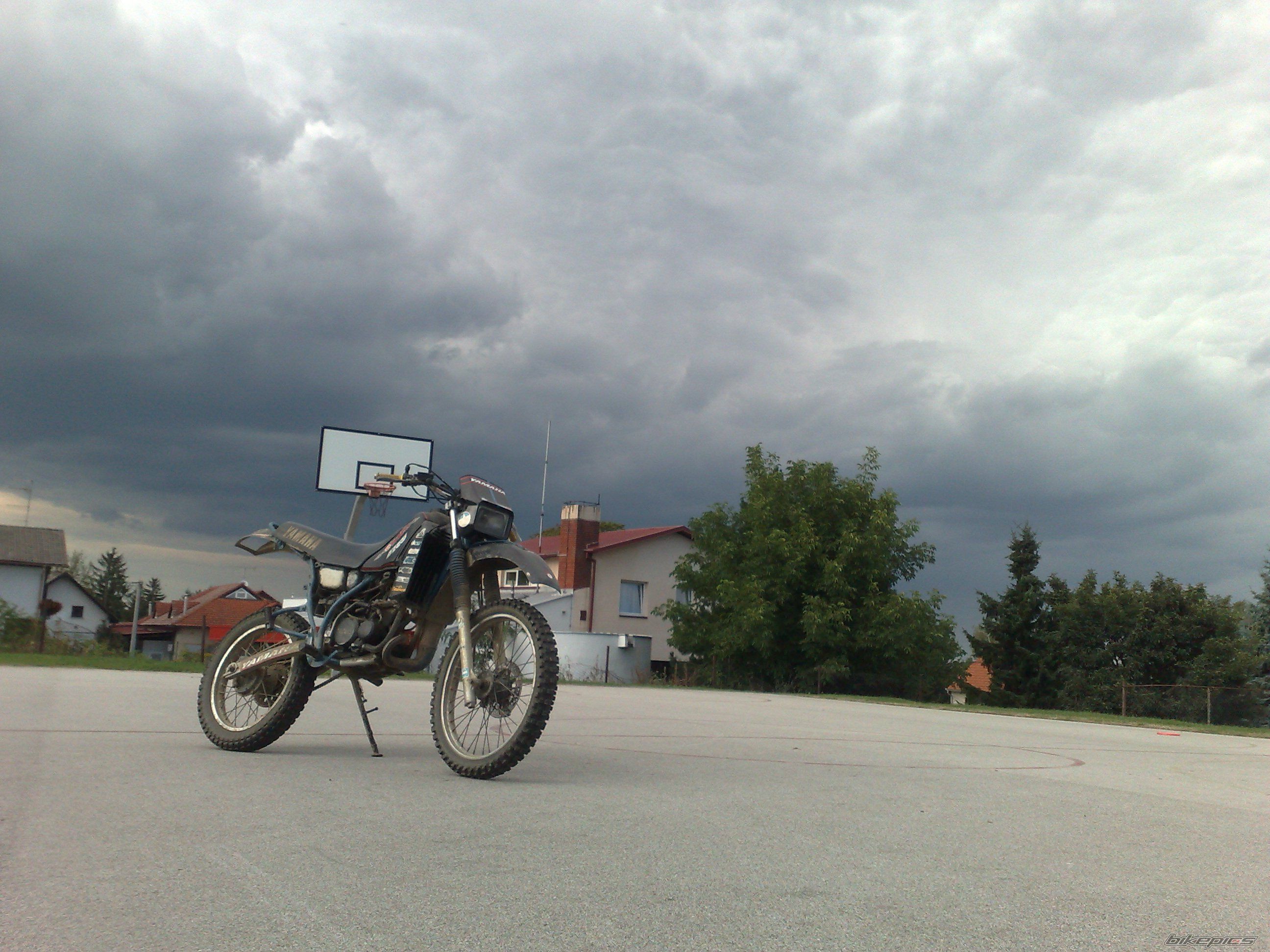 Photo 2250451