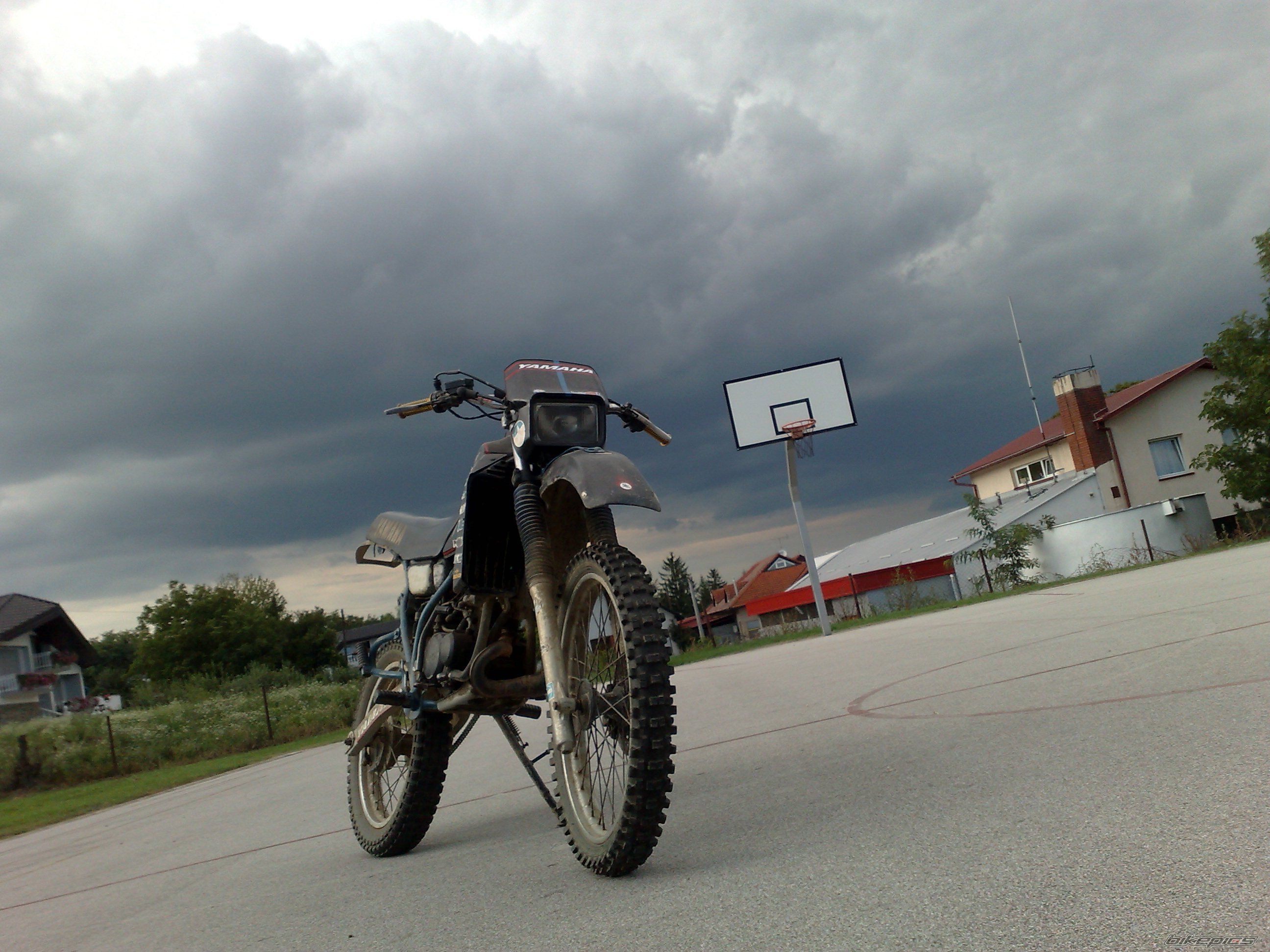 Photo 2250454