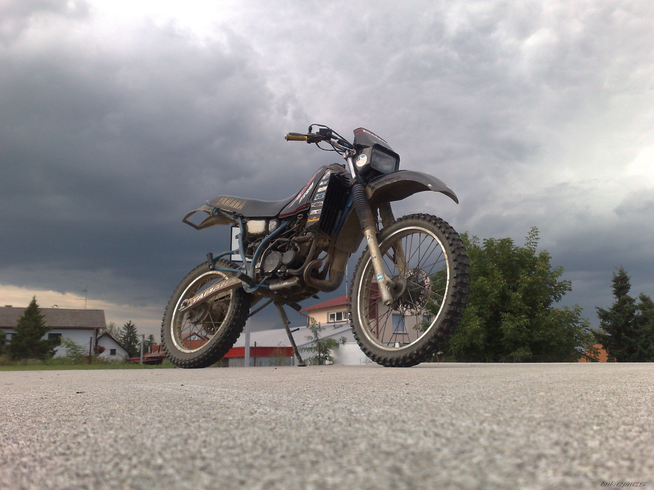 Photo 2250462