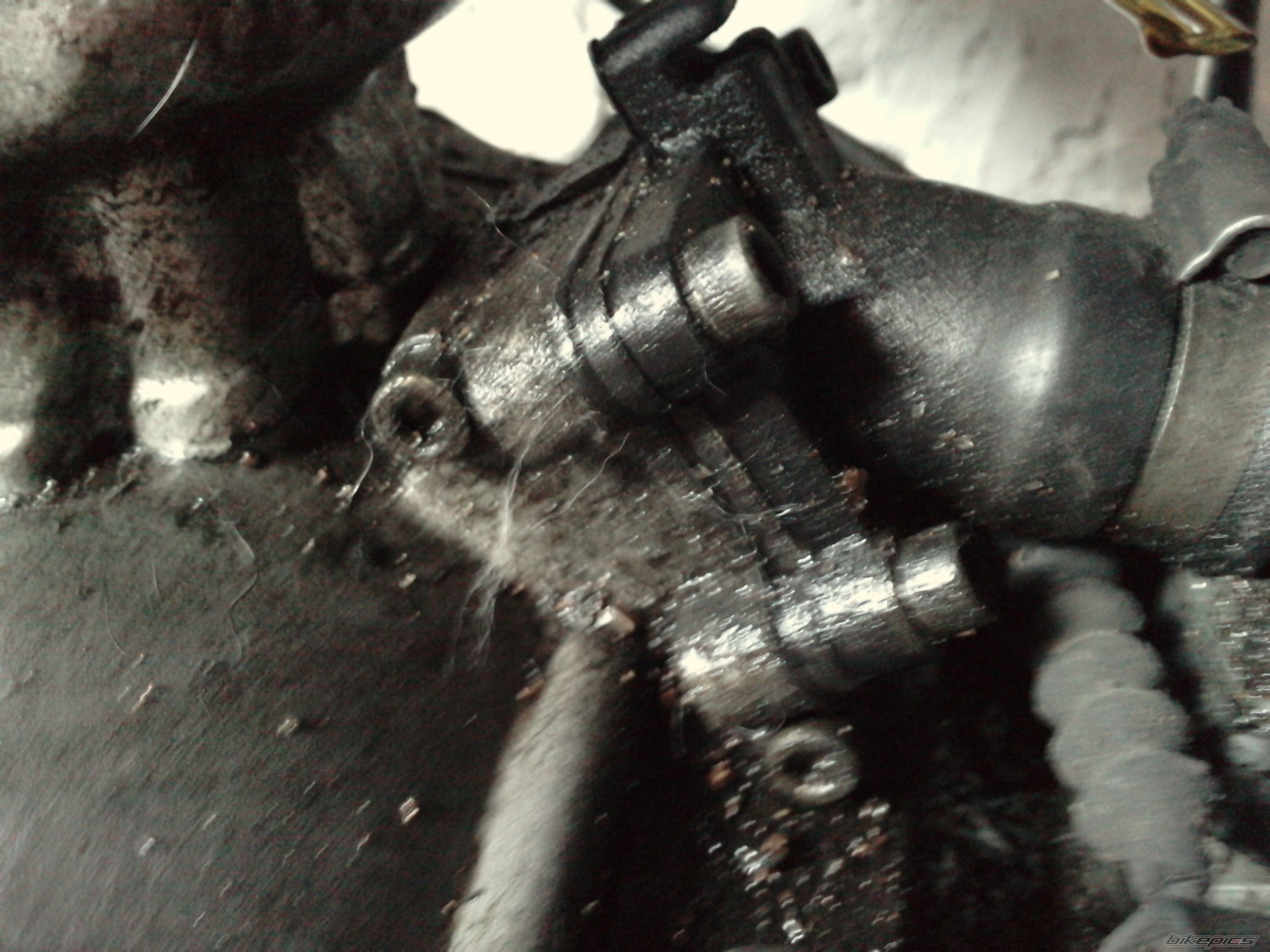 Photo 2250596