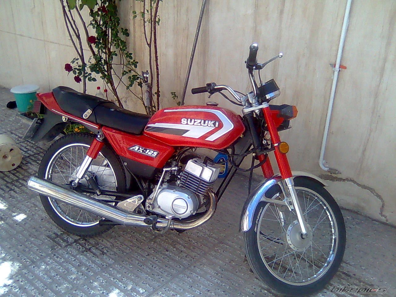 Photo 2250611
