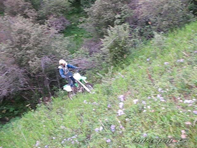 Photo 2250887
