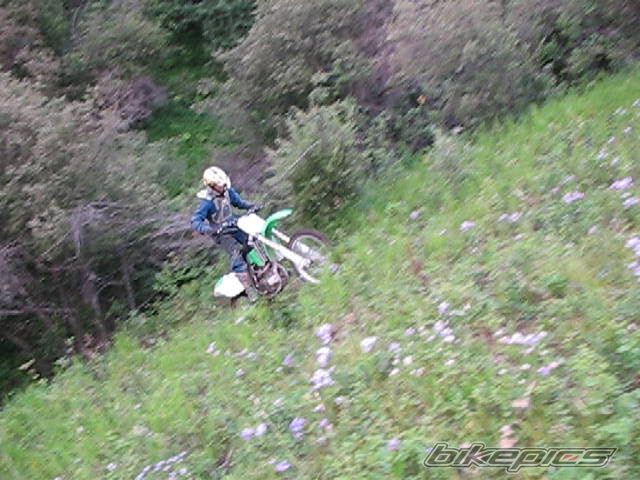 Photo 2250888